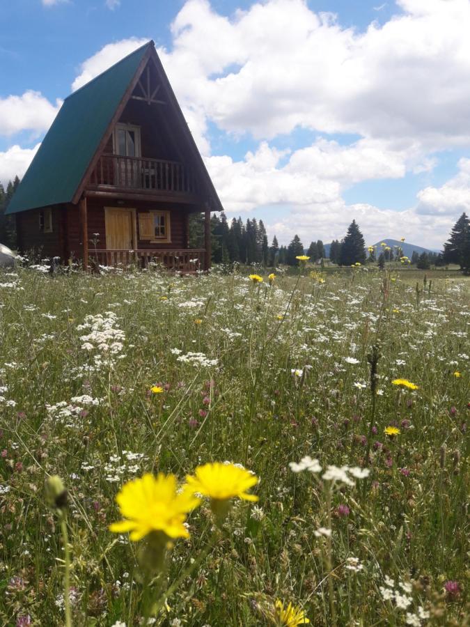 Holiday Home Jabucilo Žabljak Exterior foto